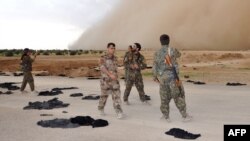 نیروهای دمکراتیک سوریه (عکس از آرشیو)