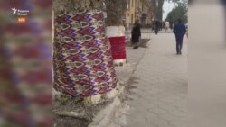 Ба дарахтони қадди роҳ дар Бохтар чакану атлас "пӯшондаанд"