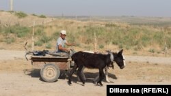 Будни приграничного села Достык
