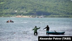 Море поблизу півострова Камччатка, Росія