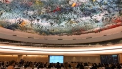 Հայաստանն ընտրվել է ՄԱԿ-ի Մարդու իրավունքների խորհրդի անդամ