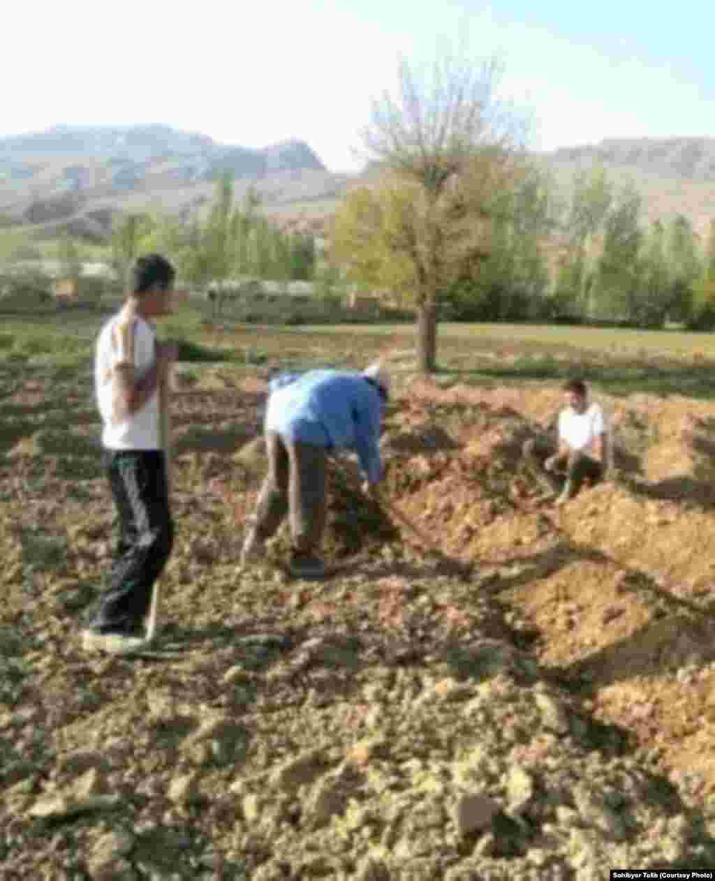 Земля является главным источником доходов многих местных семей 