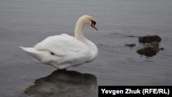 Иллюстративное фото 