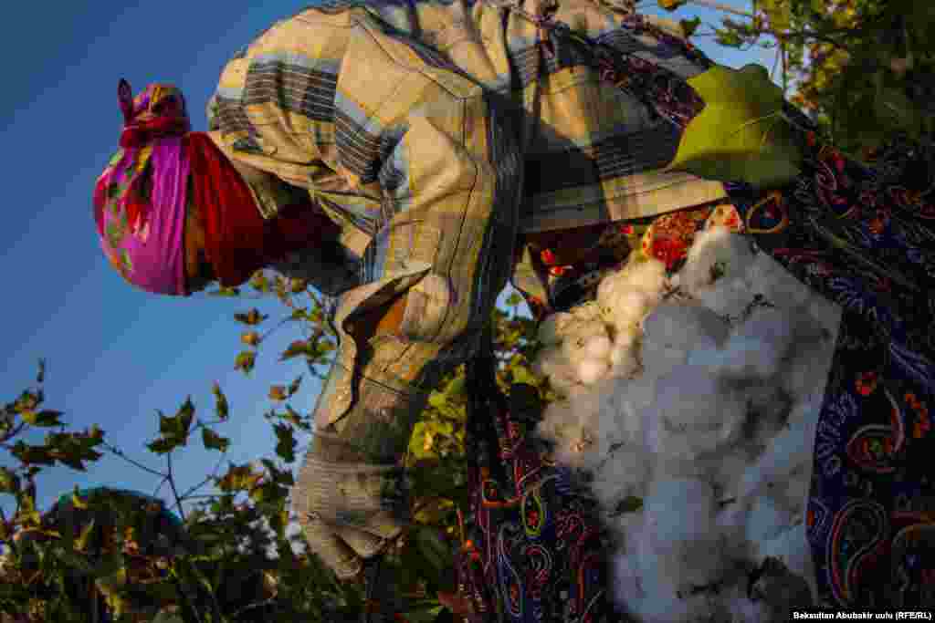 В самодельных мешках, которые носят женщины, может быть, до 8-10 килограммов хлопка&nbsp;