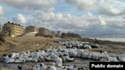 Зібраний волонтерами забруднений пісок. Краснодарський край, РФ, 2025 рік