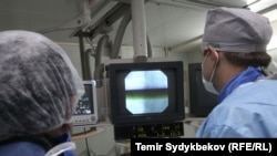 Иллюстрациялык сүрөт.