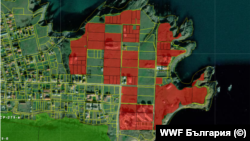 В отбелязаните в червено имоти е възможно да се строи