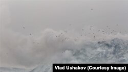 Таштанды талаасы.