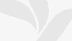 OZODNEWS: Трамп чекловининг ўзбекистонликларга таъсири | Украинага босқин: 1379-кун