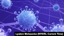 Иллюстративное фото