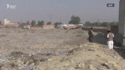 Шикори таҷовузгар ва қотили кӯдакон