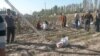 Узбекистан: людей заставили приклеивать собранный хлопок обратно