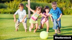 Иллюстратив фото