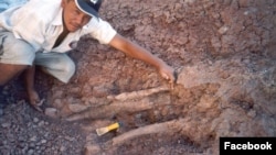 Улуттук илимдер академиясы жарыяган сүрөт.