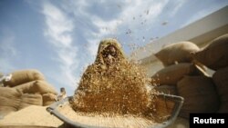 Bütindünýä Bankynyň hasabatyna görä, geçen ýylyň iýun aýyndan üstümizdäki ýylyň ýanwaryna çenli dünýäde bugdaýyň bahasy iki esse galypdyr.