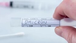 Новый штамм – «омикрон»