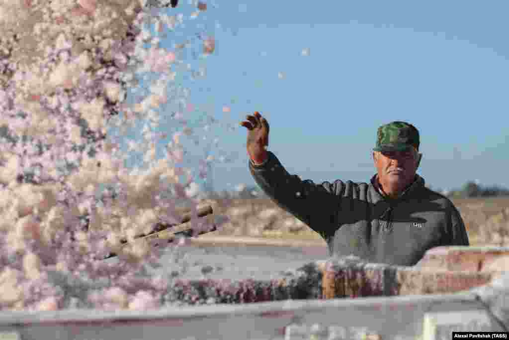 Рабочий контролирует загрузку соли в вагоны.