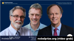 ویلیام کیلین و گرگ سمنزا، از آمریکا و پیتر رتکلیف از بریتانیا، برنده جایزه نوبل پزشکی امسال