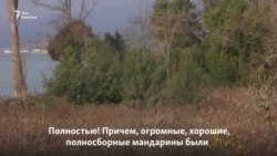 «Этот бренд нельзя терять»