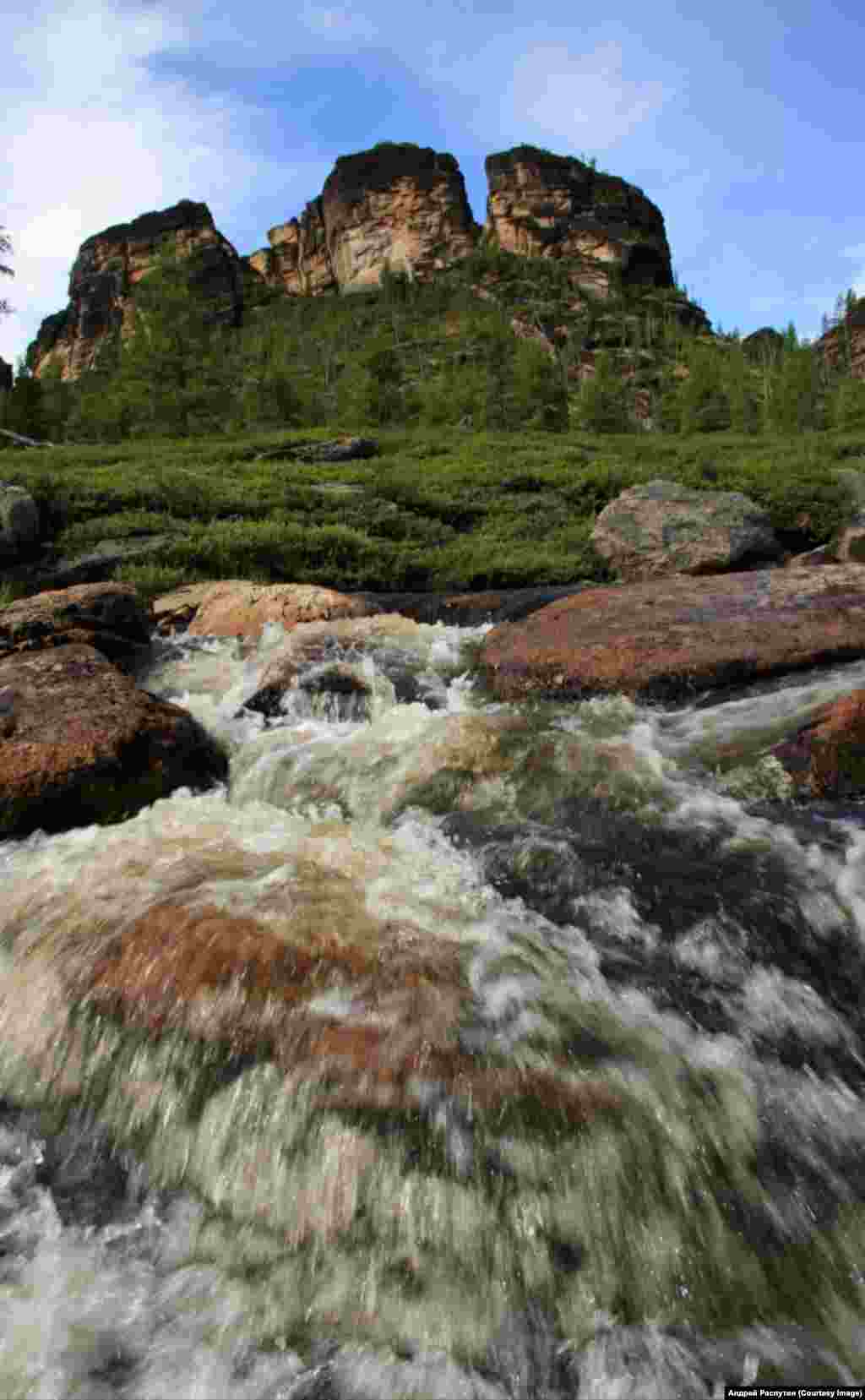 Wildlife Photos Siberia