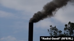 Дуди сиёҳ дар сомони Душанбе