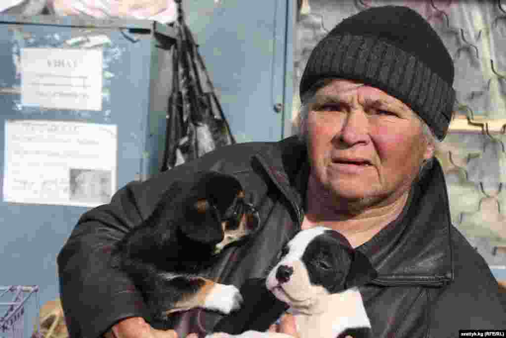 Дворняжек оценивают от 100 до 500 сомов 