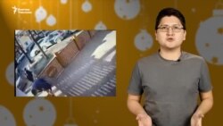 Саясий мэмдер: Депутат айымдардын чыры, чымчыктарды ойлогон төрага