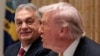 US President Donald Trump meets with Hungarian Prime Minister Viktor Orban at the White House on November 7.