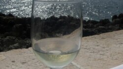 Возможен ли прогресс в виноделии?