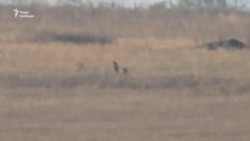 Військові готують запасні позиції поблизу Богданівки – відеорепортаж