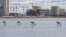 Kazakhstan. Flamingos on the Taldykol lake. Nur-Sultan, September 12, 2021