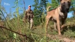 «Єдина армія» Росії і Білорусі: Україні чекати вторгнення? (відео)