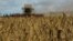 A farmer harvests wheat in the Kyiv region in August 2022.