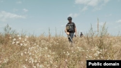 Разминирование полей в окрестностях Бучи