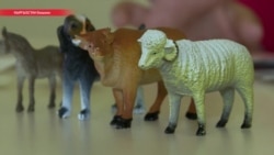 Почему аутистам в Кыргызстане ставят диагноз "умственная отсталость"