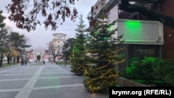 Новогодние огоньки у здания «Зеленого театра» в Симферополе, 1 декабря 2025 года