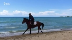 Брюховецкийлер таптаган аргымактар