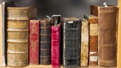 Тест: әнием