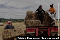 Адзін з фатаздымкаў праекту, зь якім перамагла Тацяна Чыпсанава. Вучні мясцовай школы засвойваюць асноўныя навыкі сельскай гаспадаркі на арганічнай малочнай фэрме — агульнай справе шасьці сем’яў. Руатокі, Новая Зэляндыя