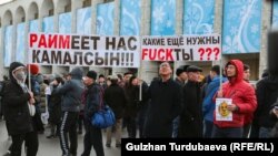 REакция в фотографиях