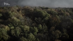 Туман у Києві. Відео з дрона