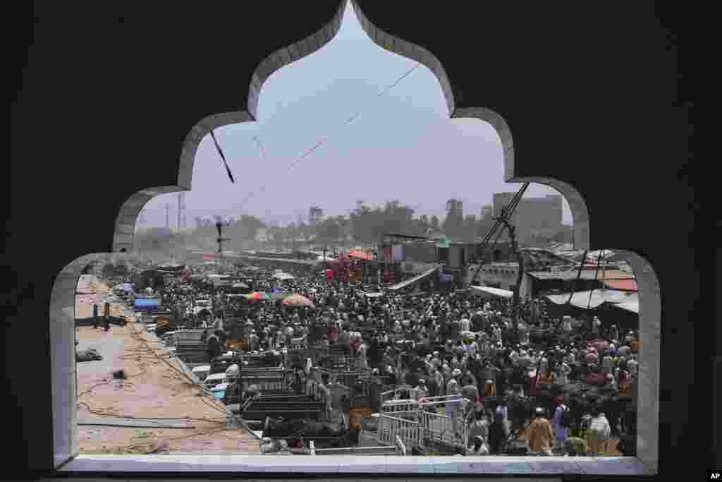 مردم در بازار فروش گاو در پیشاور پاکستان که به مناسبت جشن عید قربان برپا شده است