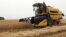 Armenia - Wheat harvest in Shirak province.