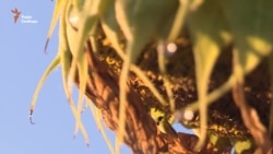 Крайня точка. Схід