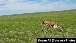 Иллюстративное фото