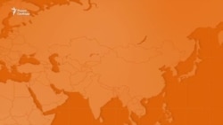 Обмен с Россией: США вернули Фогеля