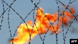 مطابق پيش بينى اوپك، ميزان تقاضاى جهانى براى نفت خام در سال ۲۰۱۰، برابر با سال ۲۰۰۹ باقى مانده و در حدود ۸۵.۱۵ ميليون بشكه در روز خواهد بود.