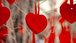 Карантинде үлпөт тойсуз баш коштук