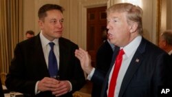 Илон Маск и Дональд Трамп