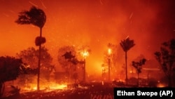 Масштабна пожежа у районі Пасіфік-Палісейдс у Лос-Анджелесі. 7 січня 2025 року